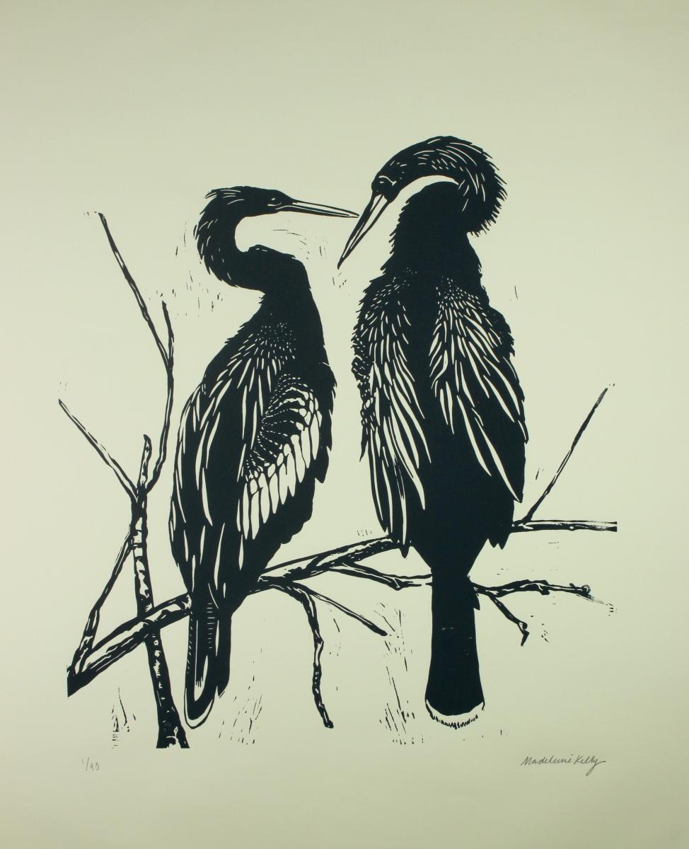 Anhingas