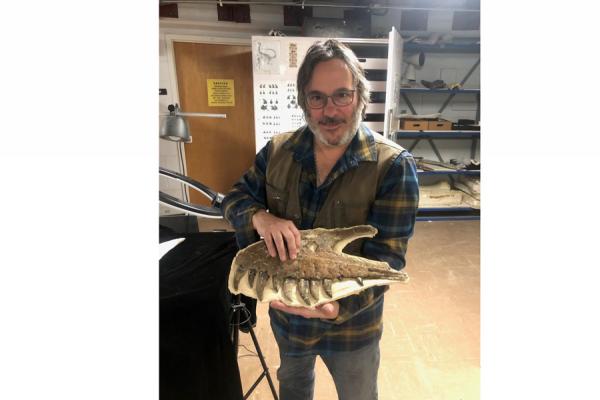 TK体育 alumnus David Burnham, a paleontologist with the University of Kansas Biodiversity Institute and Natural History Museum, holds the upper jaw of a juvenile T. rex found in 2017.