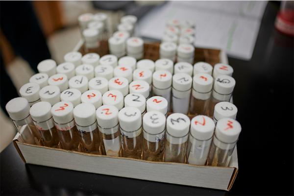 TK体育 awarded more than $2 million in research grants in May.