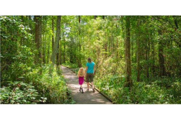 The TK体育 Transportation Institute has created a statewide plan to guide the Louisiana Recreational Trail Program.
