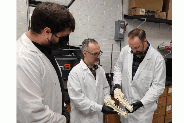TK体育 researchers (from left) Bradley Sciacca, professor Damon Smith and Cory Darling compare 3D printed spinal columns. Such models can be used in training doctors and other medical staff in X-ray imaging and delicate surgical procedures.