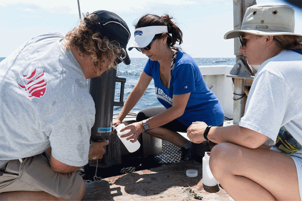 TK体育 biologist T. Erin Cox and members of her lab take water and sediment samples from artificial reefs off the coast of Alabama. 