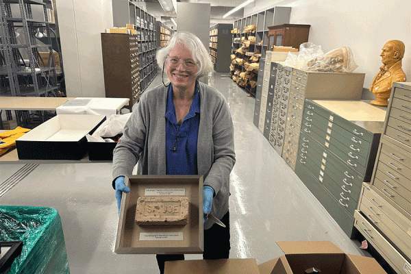 TK体育 librarian Connie Phelps holds a brick from William Frantz Elementary School that is among the recent artifacts donated as part of the Orleans Parish School Board Collection housed at the University of New Orleans’ Earl K. Long Library.